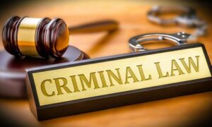 New 3 Crime Laws : हत्यारों को 302 नहीं 101 में मिलेगी सजा, नए कानून से क्या क्या बदलेगा ?