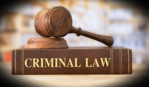 Criminal Laws : 3 नए आपराधिक कानूनों पर रोक लगाने के लिए 3695 लोगों ने किए हस्ताक्षर