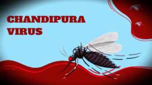 Chandipura virus : गुजरात में चांदीपुरा वायरस से 27 मरीजों की मौत, कहां कितने संदिग्ध मिले और कहाँ हुई मौत