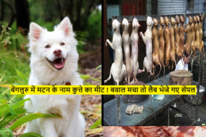 Dog Meat : बेंगलुरु में मटन के नाम कुत्ते का मीट ! बवाल मचा तो लैब भेजे गए सेंपल