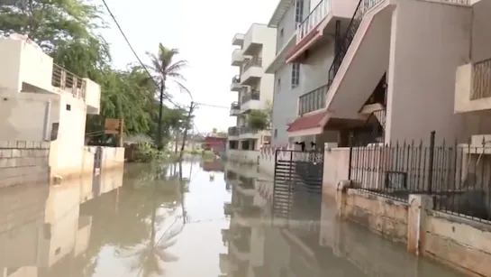 Bengaluru: भारी बारिश के बाद जलभराव, पेड़ उखड़ गए