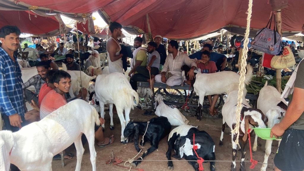 Gujarat: बकरा ईद को लेकर अधिसूचना जारी, लगाई गई पाबंदियां